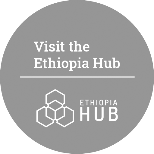 Visit the RSH Ethiopia Hub