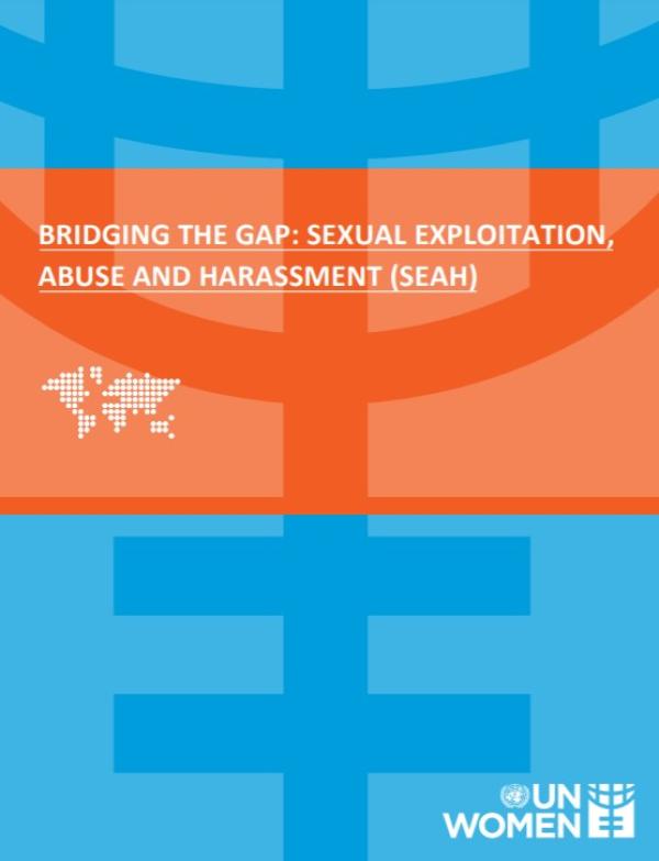 Cover with UN Women graphic and title 